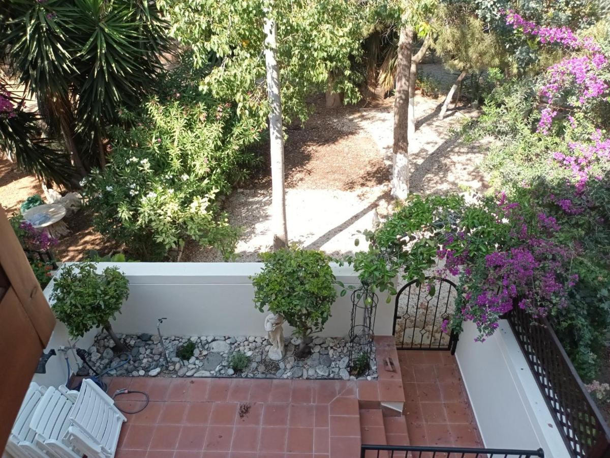 Limnaria Deluxe Maisonette Paphos Exteriör bild